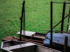 -南宁良凤江国家森林公园