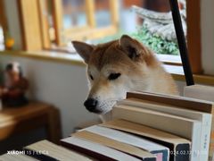 -YLK云南小粒咖啡·云里咖(二号店)