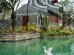 -赤坎·广东华侨国际旅游度假区