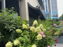 -蘇锦宴·淮扬菜烤鸭·小院(三元桥霄云路店)