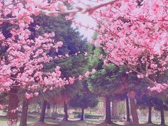 -白塘生态植物园