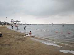 -碧海金沙