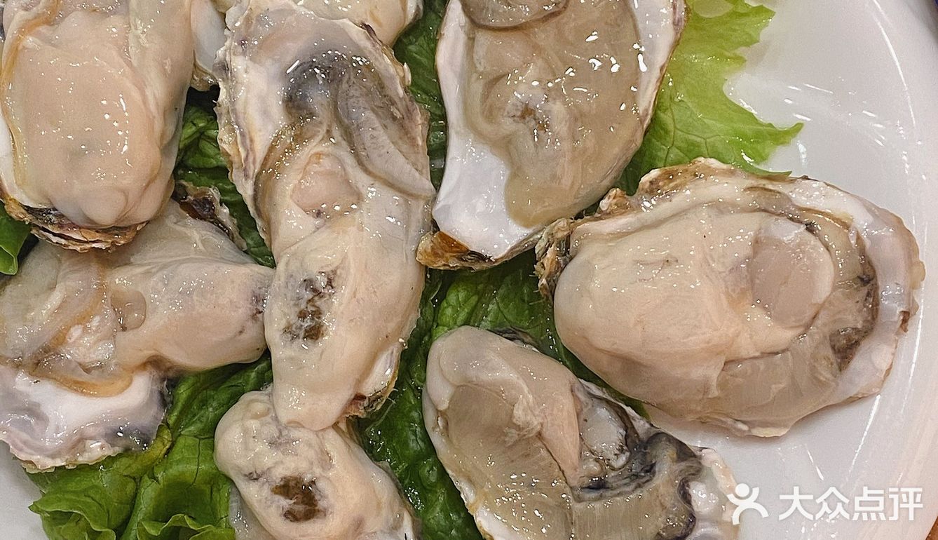 青岛最正宗的盐池滩羊肉🐑铜锅涮肉|爆好吃