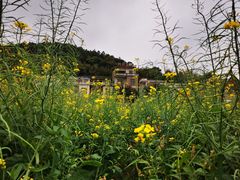 -红山村