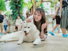 -TrueLove @ Neverland (Husky Cafe)