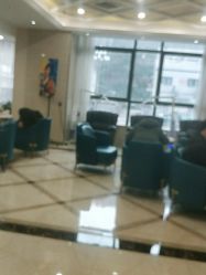 -碧莲盛·不剃发植发