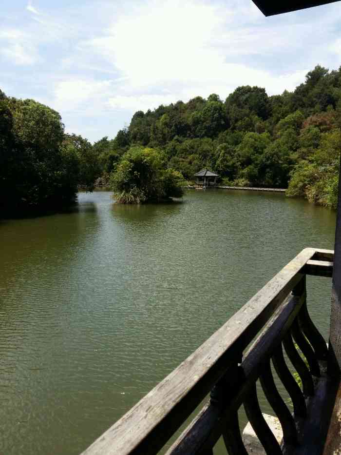 鸵鸟岛-"淳安千岛湖-之-鸵鸟岛 千岛湖的各式岛."-大众点评移动版