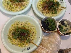 -祥源·阜阳生态乐园