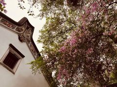 -深圳国际园林花卉博览园