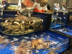 水产区-海景壹号大酒店(惠钱路店)