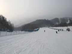 -亚布力新体委滑雪场