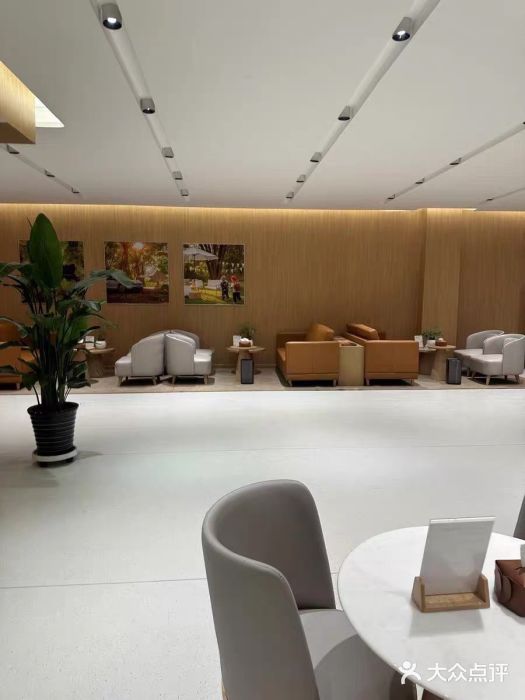 XPEL旗舰店·汽车贴膜·隐形车衣·改色贴膜图片