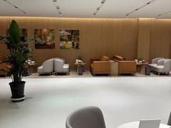 -XPEL旗舰店·汽车贴膜·隐形车衣·改色贴膜