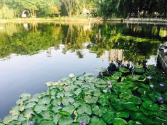 -东莞市可园博物馆