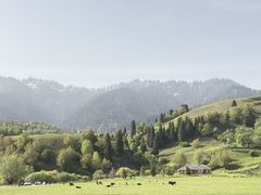 -新疆那拉提国家旅游度假区