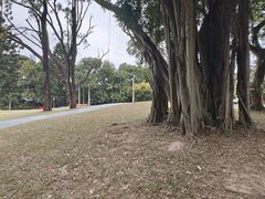 -人民公园(罗湖区)