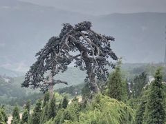-北岳恒山