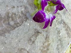 -成发鱼生