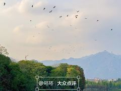 -飞来湖湿地公园