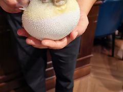 -肆月河豚·新淮扬(金融街店)