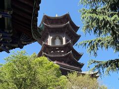 -盘龙寺