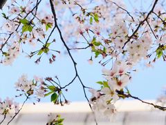 -龙美术馆(西岸馆)
