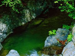 -本溪汤沟绿石谷森林公园
