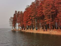 -四明湖