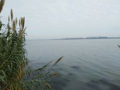 -漕湖湿地公园