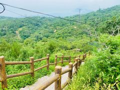 -白水寺森林公园