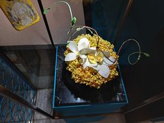 -远洋未来汇