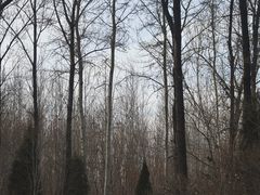 -秦皇岛野生动物园