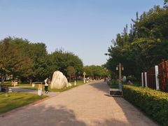-唐城墙遗址公园