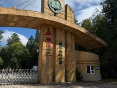 -五营红松林海景区