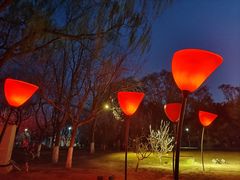 -朝阳公园游乐园