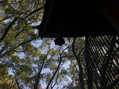 -宁波市保国寺古建筑博物馆