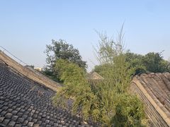 -自如ZSPACE四合院艺术餐厅