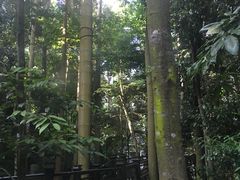 -吉隆坡国际机场