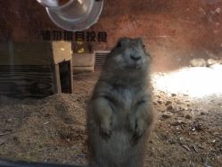 -酷嗒动物文化乐园(cutezoo西溪乐天城店)