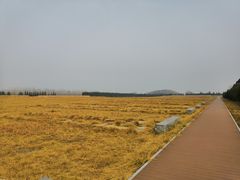 -汉景帝阳陵博物院