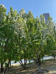 -大望京儿童游乐场