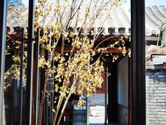 -VOYAGE COFFEE(杨梅竹店)