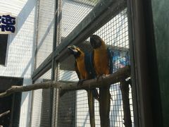 -无锡动物园·太湖欢乐园