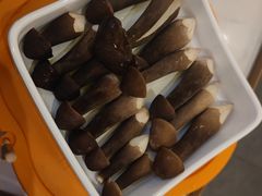 -润园四季椰子鸡火锅(南山海岸城店)