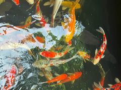 -侠成水上农庄(工业大道店)
