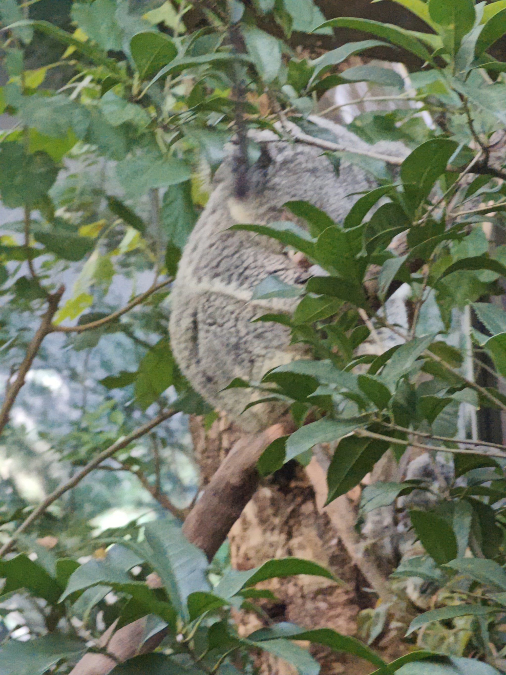 动物园很好玩,还会再来的