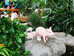 -北京植物园-展览温室