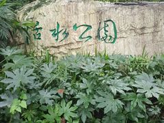 -成都市活水公园