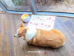 -西安浐灞艾美酒店·汉江餐厅·火锅