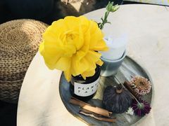 -北马山庄植趣咖啡